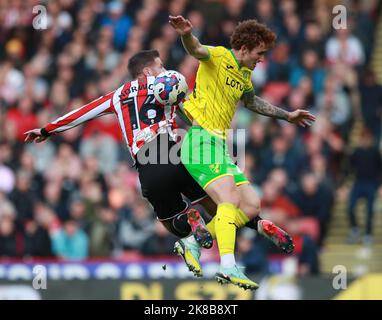 Sheffield, Regno Unito. 22nd Ott 2022. Oliver Norwood di Sheffield Utd si batte con Josh Sargent di Norwich City durante la partita del campionato Sky Bet a Bramall Lane, Sheffield. Il credito per le immagini dovrebbe essere: Simon Bellis/Sportimage Credit: Sportimage/Alamy Live News Foto Stock