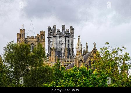 La Cattedrale di Ely è stata vista torreggiante sopra gli alberi della città Foto Stock