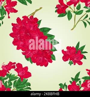 Texture senza cuciture rododendri ramoscelli con fiori rossi e foglie vintage vettore botanico illustrazione disegno a mano Illustrazione Vettoriale