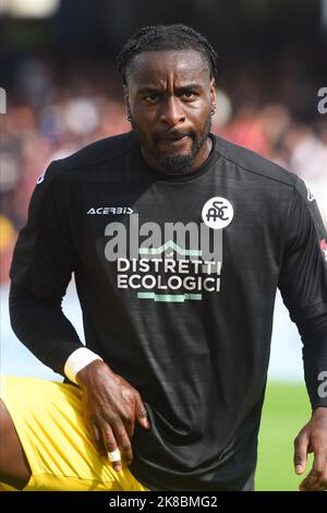 Salerno, Italia. 22nd Ott, 2022. Durante la Serie Una partita tra US Salernitana 1919 e Spezia Calcio allo Stadio Arechi Credit: Independent Photo Agency/Alamy Live News Foto Stock