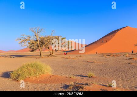 Sossusvlei, Namibia - 29 settembre 2018: Turisti sulla famosa duna 45. La parte meridionale del deserto del Namib nel Parco Nazionale del Namib-Naukluft Foto Stock