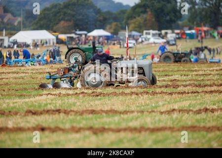 La gara annuale di aratura, hedecutting e ditching tenutasi nel Warwickshire settentrionale, Inghilterra, Sheepy and District 106th. L'evento mostra la capacità di arare utilizzando trattori o cavalli moderni e vintage. Foto Stock