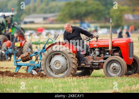 La gara annuale di aratura, hedecutting e ditching tenutasi nel Warwickshire settentrionale, Inghilterra, Sheepy and District 106th. L'evento mostra la capacità di arare utilizzando trattori o cavalli moderni e vintage. Foto Stock