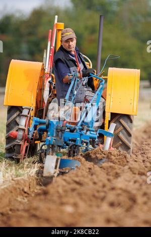 La gara annuale di aratura, hedecutting e ditching tenutasi nel Warwickshire settentrionale, Inghilterra, Sheepy and District 106th. L'evento mostra la capacità di arare utilizzando trattori o cavalli moderni e vintage. Foto Stock