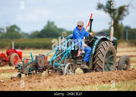 La gara annuale di aratura, hedecutting e ditching tenutasi nel Warwickshire settentrionale, Inghilterra, Sheepy and District 106th. L'evento mostra la capacità di arare utilizzando trattori o cavalli moderni e vintage. Foto Stock