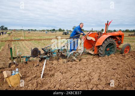 La gara annuale di aratura, hedecutting e ditching tenutasi nel Warwickshire settentrionale, Inghilterra, Sheepy and District 106th. L'evento mostra la capacità di arare utilizzando trattori o cavalli moderni e vintage. Il contadino Steve Webster di Derby fa una pausa durante la gara di aratura Foto Stock