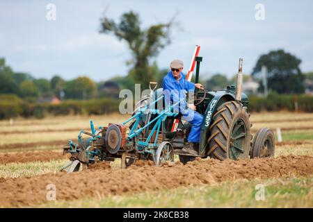 La gara annuale di aratura, hedecutting e ditching tenutasi nel Warwickshire settentrionale, Inghilterra, Sheepy and District 106th. L'evento mostra la capacità di arare utilizzando trattori o cavalli moderni e vintage. Foto Stock