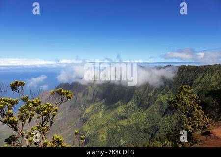 Guardando giù a scoscese scogliere, alcuni aridi e alcuni coperti di alberi e vegetazione, cumuli nuvole e l'Oceano Pacifico dal pu'u o Kila lo Foto Stock