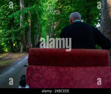 Guida in carrozza attraverso un bel parco. Foto Stock