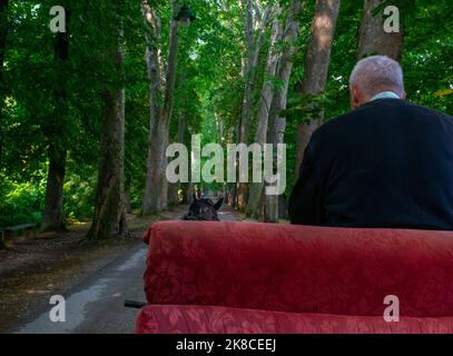 Guida in carrozza attraverso un bel parco. Foto Stock