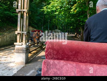 Guida in carrozza attraverso un bel parco. Foto Stock