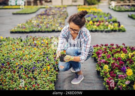 Grazioso fiorista sorridente accovacciato all'aperto circondato da fiori e pentola di tenuta con piccolo fiore. Foto Stock