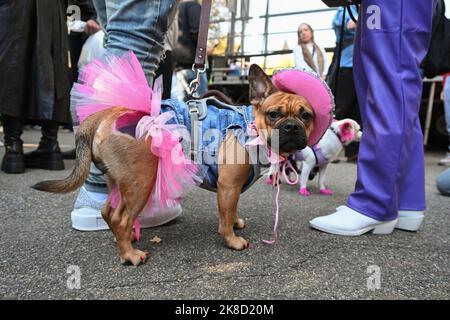 La gente mostra i loro animali domestici durante la Tompkins Square Park Halloween Dog Parade il 22 ottobre 2022 a New York. Foto Stock