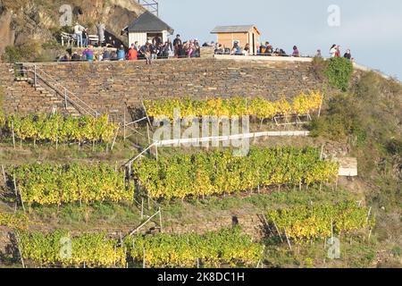 Dernau, Germania. 22nd Ott 2022. Gli escursionisti bevono un bicchiere di vino durante una pausa sopra il villaggio. Dopo l'alluvione dell'Ahr con almeno 134 morti nel luglio 2021, il turismo escursionistico sta fiorendo di nuovo nella valle del fiume - e sta contribuendo a finanziare la ricostruzione. Gli escursionisti possono ancora fare una pausa l'ultimo sabato e la domenica di ottobre su circa 15 chilometri sul sentiero del vino rosso tra Marienthal e Altenahr a 15 a 20 allestiti appositamente stand enogastronomici. (A dpa: 'Trekking per la ricostruzione' - solidarietà con l'area alluvionale Ahr). Credit: Thomas Frey/dpa/Alamy Live News Foto Stock