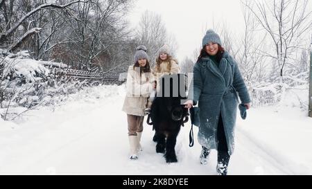 passeggiata a cavallo invernale. equitazione invernale. passeggiata a cavallo in famiglia nelle giornate invernali innevate. Felice cutie, la bambina sta cavalcando un pony. Attività di famiglia di inverno all'aperto. Foto di alta qualità Foto Stock