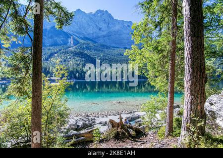 Lago di Eibsee con Zugspitze 2962m, Grainau, Monti Wetterstein, Werdenfelser Land, alta Baviera, Baviera, Germania Foto Stock
