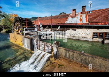 Il mulino a martelli con ruota d'acqua, Monumento culturale dell'anno 2022, Bad Oberdorf a Ostrachtal, Allgaeu, Baviera, Germania Foto Stock