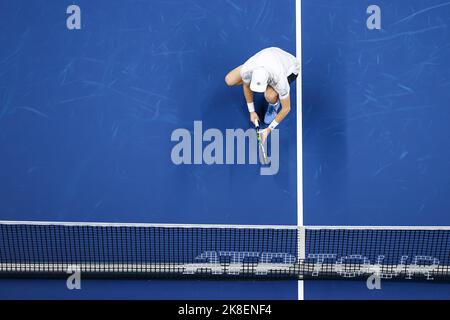 L'olandese Tallon Griekspoor ha mostrato in azione durante la partita finale maschile tra la coppia olandese Griekspoor - Van de Zandschulp e la coppia indiano-olandese Bopanna - Middelkoop, al torneo europeo di tennis Open ATP, ad Anversa, domenica 23 ottobre 2022. FOTO DI BELGA DAVID PINTENS Foto Stock