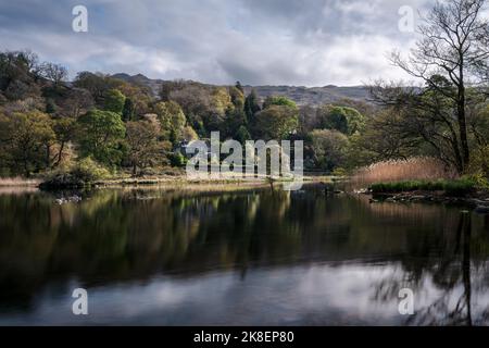 Alberi riflessi in Rydal Water, English Lake District in una tranquilla giornata estiva Foto Stock
