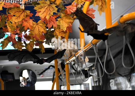 Copenhagen/Danimarca/23 Ottobre 2022/Dansh bus Roite 500S è decorato con oggetti halloween per intrattenere i passeggeri degli autobus in varie età durante il viaggio in autobus a Copenbhagen . (Foto. Francis Dean/Dean Pictures. Foto Stock