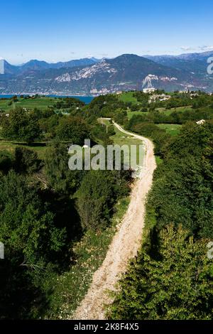 Stretta strada sterrata tra alberi verdi nelle giornate di sole Foto Stock