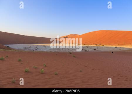 Sossusvlei, Namibia - 30 settembre 2018: Donna che cammina tra le dune. La saliera di Sossusvlei con l'albero morto. Namib Naukluft National Park. Sand dun Foto Stock