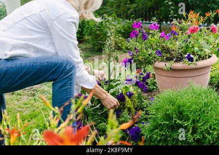 Donna anziana che si prende cura delle piante in giardino Foto Stock