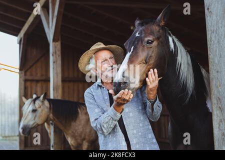 Contadino anziano che indossa un cappello che accarezzano il cavallo Foto Stock