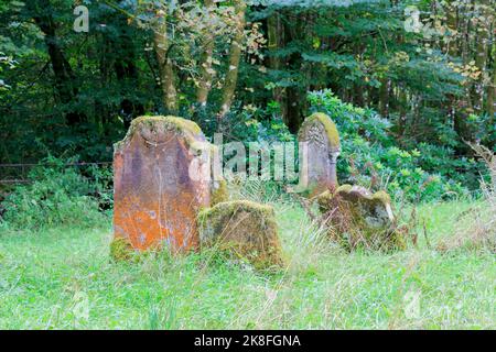 Piccolo gruppo di lapidi antichissime coperte di muschio in un vecchio cimitero Foto Stock