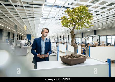 Uomo d'affari maturo con PC tablet che esamina l'albero del bonsai nel settore Foto Stock