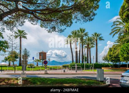 Parco fantastico sul lato sinistro della Croisette a Cannes - un uomo fa una doccia (in lontananza) sulla spiaggia (gratuito) - pini e palme perfettamente alti Foto Stock