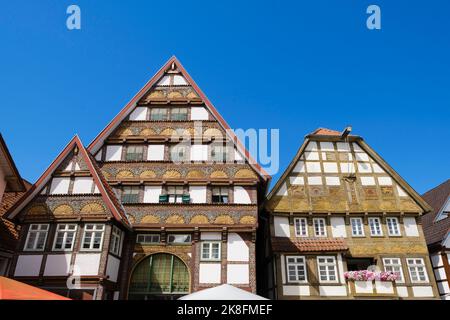 Germania, Renania settentrionale-Vestfalia, Bad Salzuflen, facciate di case storiche a graticcio Foto Stock