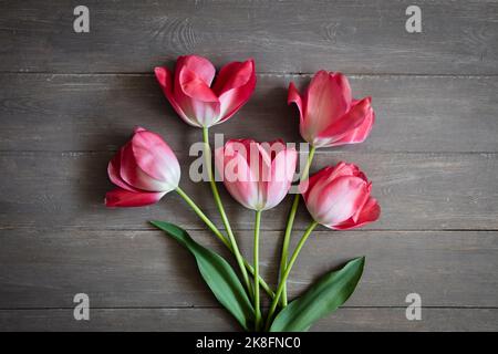Studio shot di tulipani rosa in fiore Don Quichotte sdraiati su una superficie di legno Foto Stock