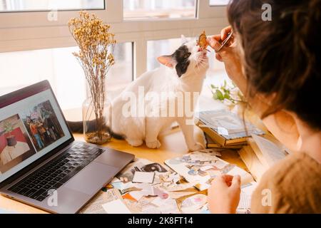 Freelance che tiene la farfalla di carta vicino al viso del gatto sulla scrivania a casa Foto Stock