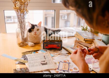 Freelancer tagliare la carta clipping da gatto sulla scrivania a casa Foto Stock