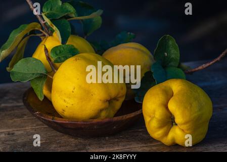 Primo piano di mela cotogna gialla dolce matura (Cydonia oblonga) foglie di frutta biologica su tavola in legno di noce ancora vita naturale fondo scuro burla Foto Stock