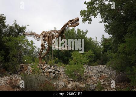 Ajaltoun, Libano - 14 agosto 2022. Satura di uno scheletro di dinosauro T-rex nel Parco cittadino di Dino ad Ajaltoun, Libano. Foto Stock