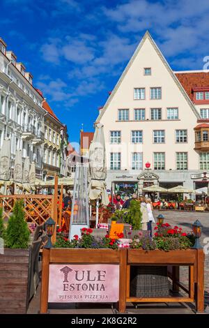 La piazza del Municipio di Tallinn, Estonia, Europa Foto Stock