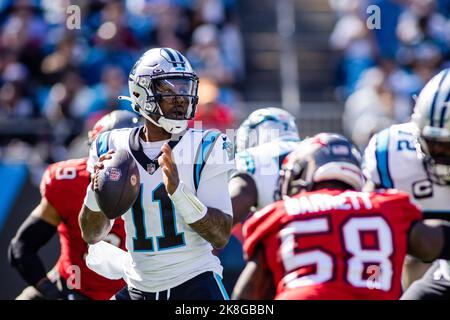 Charlotte, North Carolina, Stati Uniti. 23rd Ott 2022. Carolina Panthers Quarterback PJ Walker (11) lancia durante il primo trimestre del matchup NFL a Charlotte, NC. (Scott Kinser/Cal Sport Media). Credit: csm/Alamy Live News Foto Stock