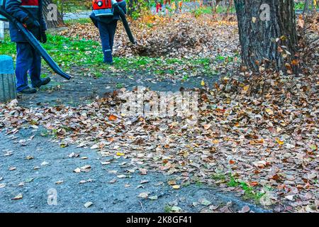 I lavoratori per strada in autunno raccolgono le foglie con un soffiatore Foto Stock