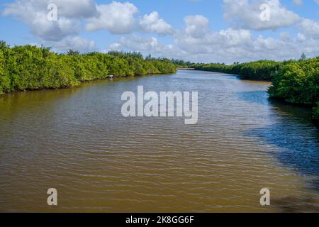 Un'insenatura dal Golfo del Messico a Bowman's Beach prima dell'uragano Ian sull'isola di Sanibel in Florida. Foto Stock