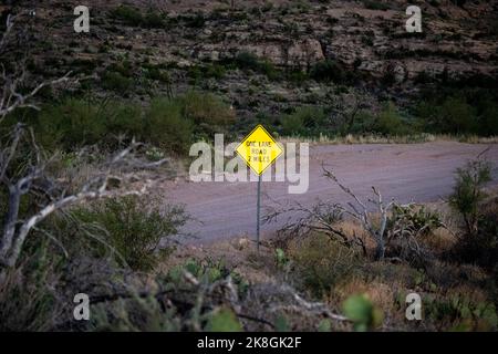 Un cartello giallo a forma di diamante per una strada a una corsia, a 2 km circa sulla state Route 88 Apache Trail in Arizona Foto Stock