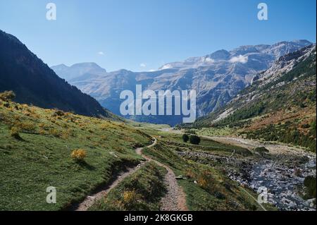 Fiume veloce con massi che scorrono tra fitti boschi con alti alberi colorati con rigoglioso fogliame nella natura selvaggia della Valle De Pineta nei Pirenei, in Spagna Foto Stock