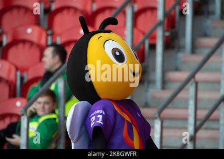 Doncaster, Regno Unito. 23rd ottobre 2022. Rugbee la Mascot durante il 2021 Rugby League World Cup Group Una partita tra la Grecia e Samoa all'Eco-Power Stadium di Doncaster domenica 23rd ottobre 2022. (Credit: Trevor Wilkinson | NOTIZIE MI) Credit: NOTIZIE MI e sport /Alamy Live News Foto Stock