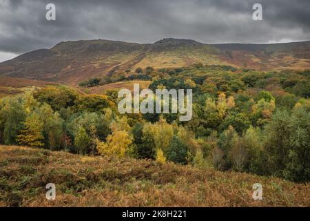 Serbatoio Dovestone si trova alla confluenza delle valli del Greenfield e masticare Brooks, sopra il Villaggio di Greenfield, su Saddleworth Moor in G Foto Stock