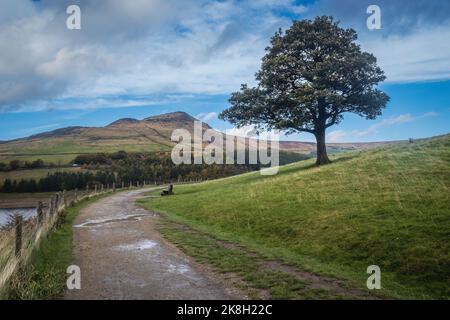 Serbatoio Dovestone si trova alla confluenza delle valli del Greenfield e masticare Brooks, sopra il Villaggio di Greenfield, su Saddleworth Moor in G Foto Stock