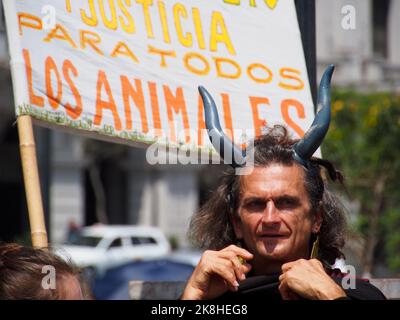 Lima, Perù. 23rd Ott 2022. Un uomo con corna di toro e una bandiera che dice 'Giustizia per tutti gli animali' quando decine di attivisti animali sono scesi in strada per protestare contro la corrida nell'arena di Acho, a Lima. La Plaza de Toros de Acho, inaugurata nel 1766, continua ad operare, nonostante l'esistenza di una legge contro gli abusi sugli animali, sul terreno che la corrida è uno spettacolo culturale tradizionale. Credit: Agenzia Stampa Fotoholica/Alamy Live News Foto Stock