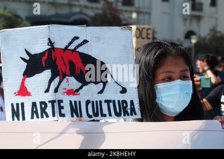 Lima, Perù. 23rd Ott 2022. "Non è arte né cultura” può essere letto su uno striscione quando decine di animalisti sono scesi in strada per protestare contro la corrida nell'arena di Acho, a Lima. La Plaza de Toros de Acho, inaugurata nel 1766, continua ad operare, nonostante l'esistenza di una legge contro gli abusi sugli animali, sul terreno che la corrida è uno spettacolo culturale tradizionale. Credit: Agenzia Stampa Fotoholica/Alamy Live News Foto Stock