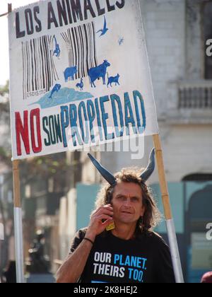 Lima, Perù. 23rd Ott 2022. Un uomo con corna di toro e una bandiera che dice "gli animali non sono proprietà" quando decine di attivisti animali sono scesi in strada per protestare contro la corrida nell'arena di Acho, a Lima. La Plaza de Toros de Acho, inaugurata nel 1766, continua ad operare, nonostante l'esistenza di una legge contro gli abusi sugli animali, sul terreno che la corrida è uno spettacolo culturale tradizionale. Credit: Agenzia Stampa Fotoholica/Alamy Live News Foto Stock