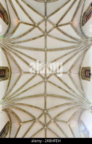 Soffitto interno gotico del 15th ° secolo San Girolamo la Chiesa reale, (spagnolo: Iglesia de San Jeronimo El Real) a Madrid, Spagna. Foto Stock